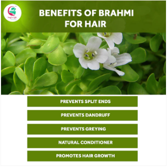 Brahmi Powder: An Ancient Herb for Hair Growth, Scalp Health, and More